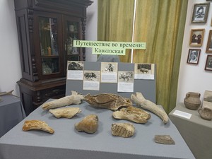 Выставка «Путешествие во времени. Кавказская»